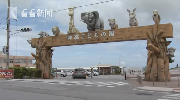 猴子拿鑰匙開(kāi)門(mén)逃跑 有2只猴子自己回來(lái)了