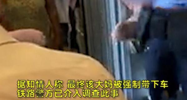 無票大媽毆打乘警 這種行為會(huì)不會(huì)受到懲罰?